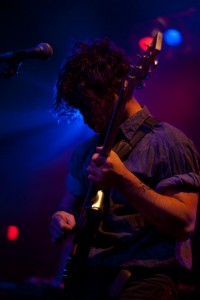 Foals