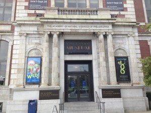 The Academy of Natural Sciences of Drexel University exhibit “Glow: Living Lights” will be open through September 29. The exhibit features information on a variety of bioluminescent organisms, or those that can naturally emit light, including mushrooms, beetles, fish, and coral.