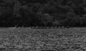 The women’s crew team practices on the Susquehanna in preparation for the Navy Day Regatta. Last year, the Dragons placed in the top 5 in five out of the six events in the Navy Day Regatta and men’s top varsity placed third overall. (Photo courtesy - DrexelDragons.com)