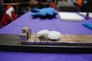 Photo Credit: Ann Haftl Above features dry ice being repelled off a superconducter